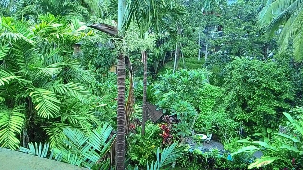 Sari Wangi Cottage Ουμπούντ Εξωτερικό φωτογραφία